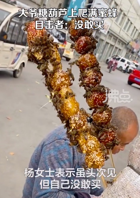 大爷卖的糖葫芦密密麻麻爬满蜜蜂 苍蝇：没人替我说话吗？