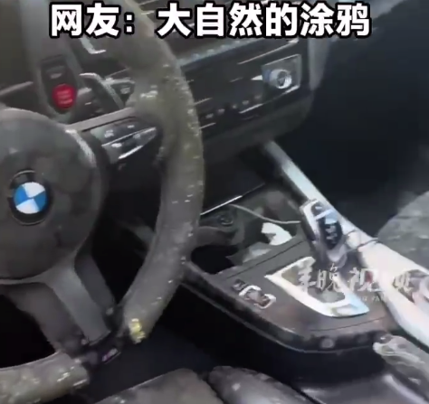 安徽一男子洗车未晒干致全车发霉 网友：大自然的涂鸦