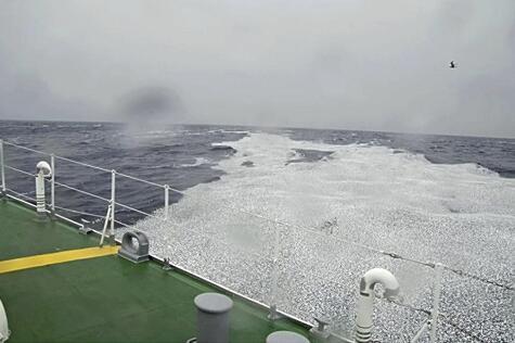 日本近海出现密密麻麻鱼类尸体 原因尚不明确