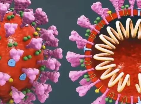 研究-新冠病毒会影响视力和深度知觉