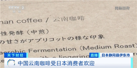 日本年進口雲南咖啡生豆超900噸 雲南咖啡香飄海外