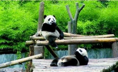 成都将发放200万元文旅消费券