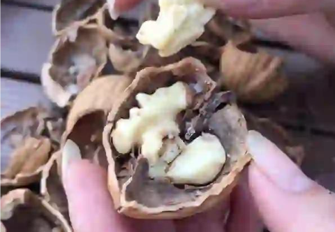 每天早餐加一物，全身炎症、癌症风险都降低！