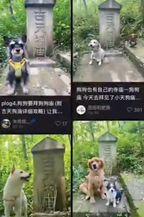 古天狗庙 原来小狗也有自己的神庙