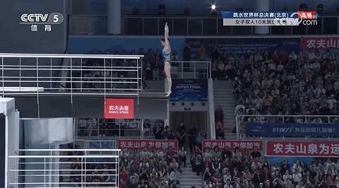 陈芋汐发文总结全运会 圆梦单人项目金牌