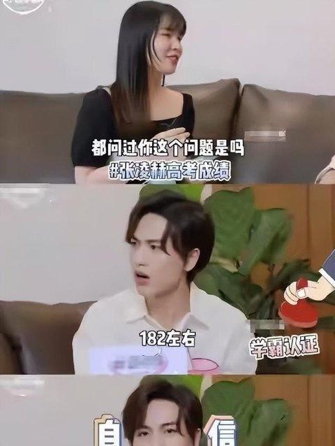 张凌赫杯贴走红 谣言与恶意缠身