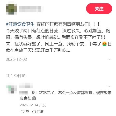 “清明蔗毒过蛇”是真的吗 霉变甘蔗需警惕