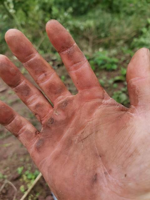 小伙清淤引300万网友围不雅 95后实干获赞