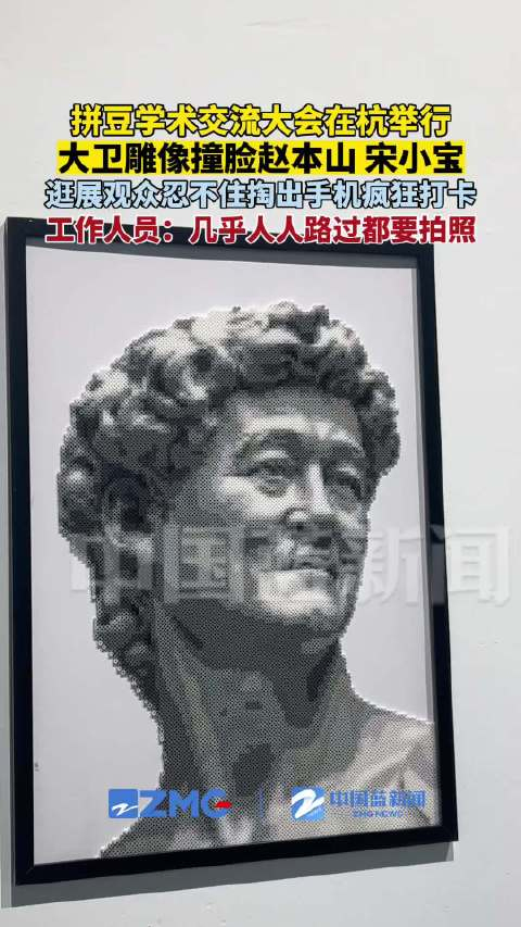拼豆大卫雕像撞脸赵本山宋小宝 网络热议作品走红