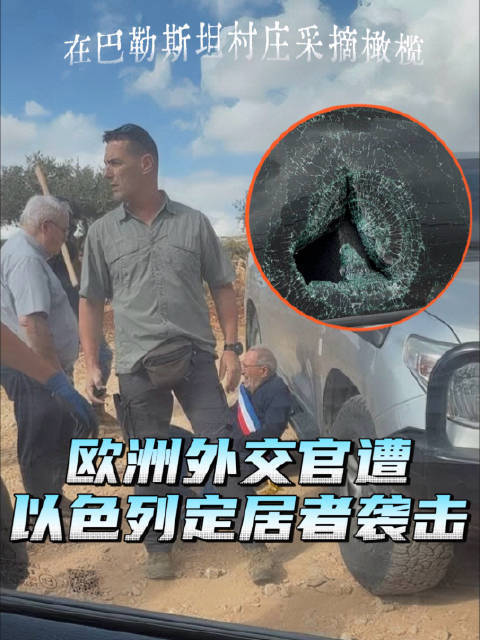 犹太定居者殴打法国外交官，多国谴责 外交官参与橄榄采摘遭袭