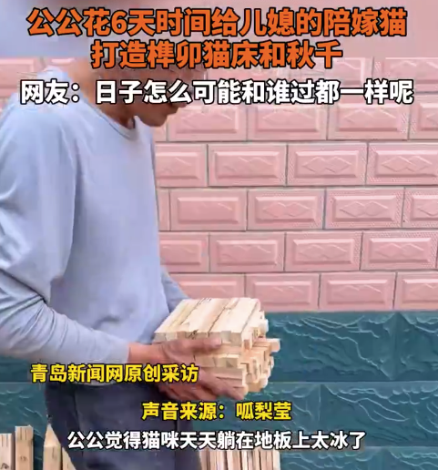 公公給兒媳的陪嫁貓做三層榫卯床 女子回應公公用6天給貓做床和秋千