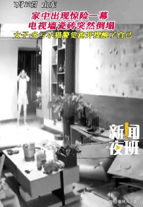 貓咪突然逃跑下一秒電視墻塌了 貓咪預(yù)警救主