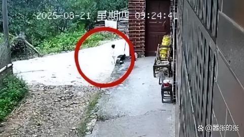 2岁女童走失30多小时 无人机热成像找到 科技与人心共暖