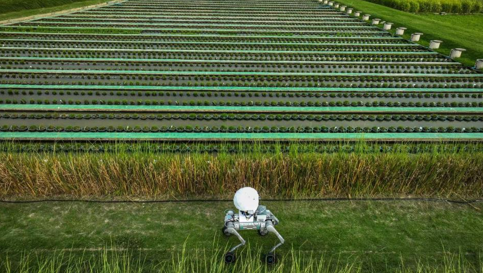 万仞AI人性机器人“悉悉”实现批量试制