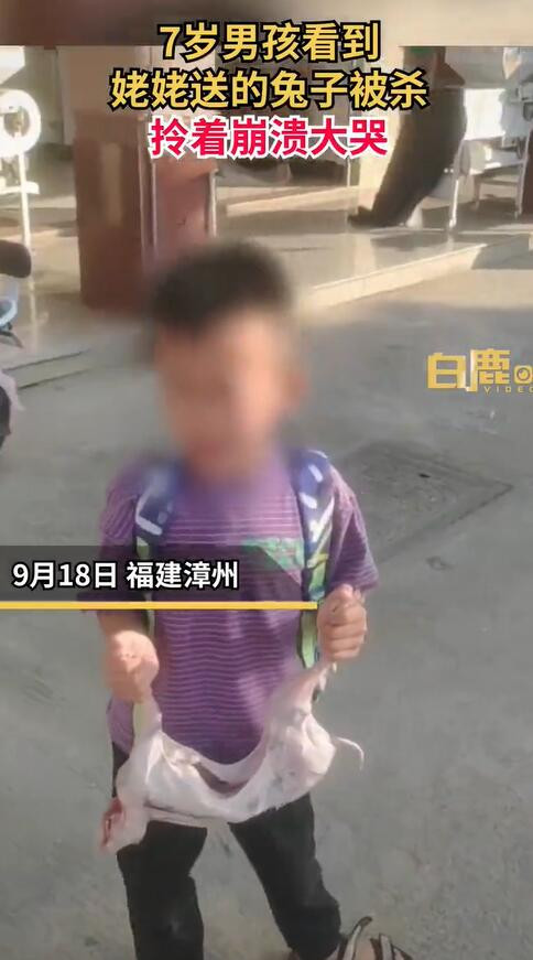 姥姥送的兔子被宰7岁娃崩溃大哭 家人：怕养不好就把它烹饪了