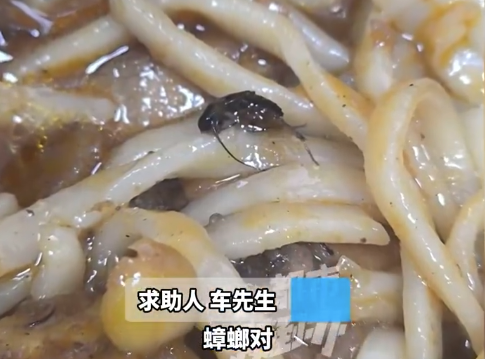 男子点炒鸡给五星好评后吃出蟑螂 店家称是讹人 