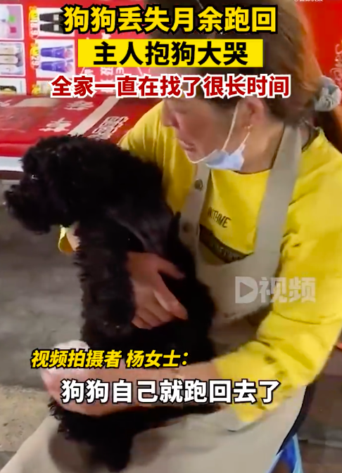 狗狗丢失月余跑回主人抱狗大哭