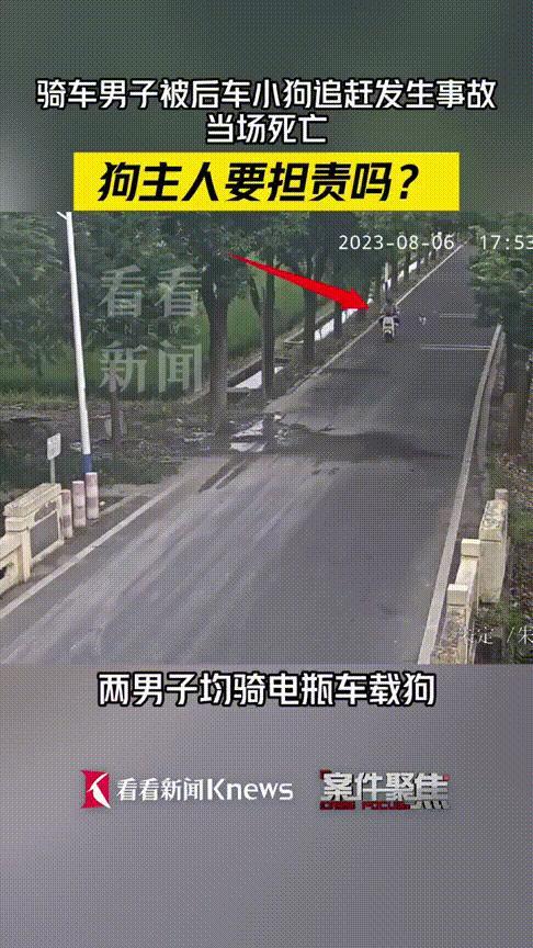 男子骑电动车遭狗追撞树身亡