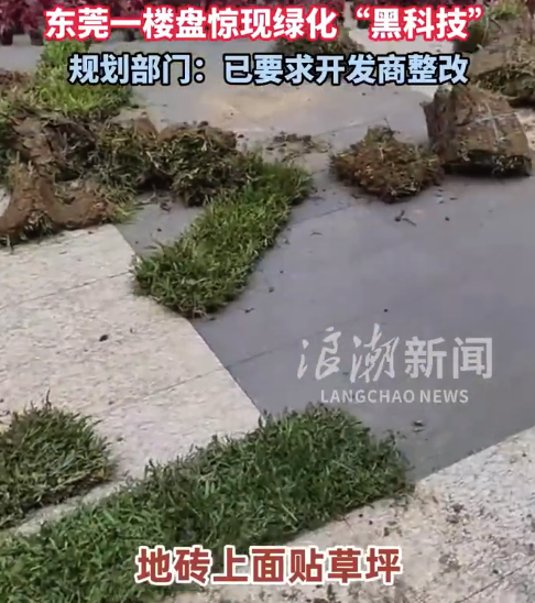 神操作！官方回应开发商地砖上种草坪：约谈了开发商，要求他们整改