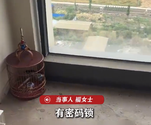 女子吐槽邻居在自家阳台养鸟：起初还以为是物业放的