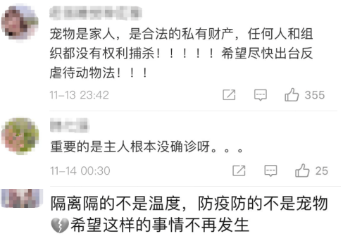 央视网评隔离宠物狗被扑杀：小狗哪里错了？隔离不能隔掉温度