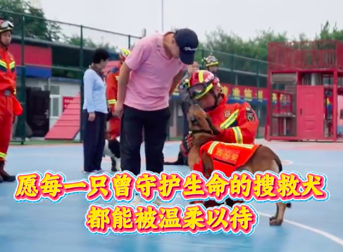 消防汪汪队退役的小战士有新家了 