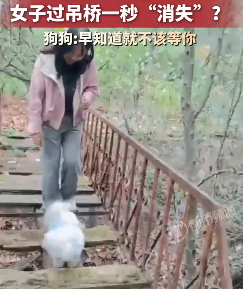 女子过吊桥一脚踩空惊魂 狗狗:早知道不该等你