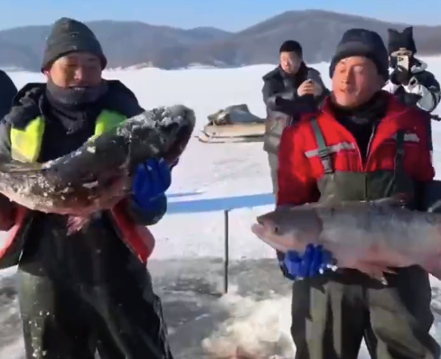 砸冰抓鱼是东北孩子冬天最大的快乐！