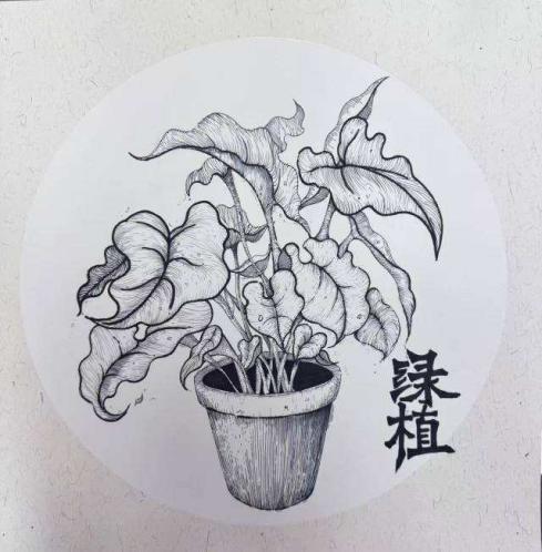 辽中区第四小学王欣桐