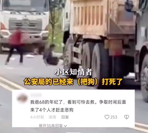 保安被狗撕咬男子持棍打狗救人 派出所人员：狗已打死