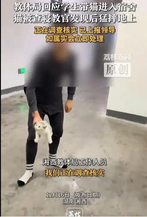 猫被教官摔死后续 生命不应成为发泄工具！