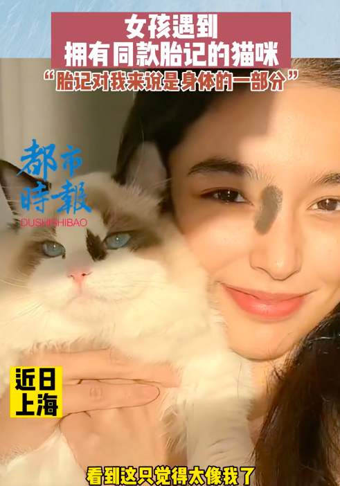 女孩遇到面部有同款胎记的猫咪 那是怕你们找不到对方的印记