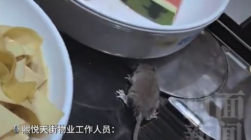 北京一自助火锅店出现老鼠 视频引发广泛关注