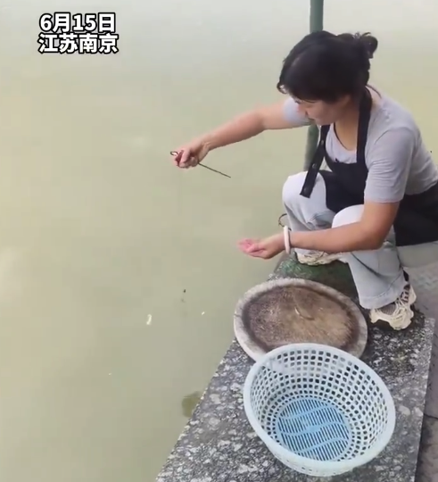 女子岸边10秒钓上大鱼 钓鱼佬：我有点不舒服先睡了