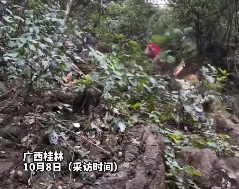 小伙假期爬山抬头瞬间救了个孩子：下面就是几十米悬崖