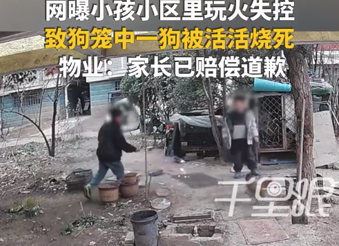 网曝小孩小区玩火失控烧死笼中狗 物业：家长已补偿说念歉