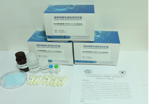 4种重大植物病毒实现快速检测