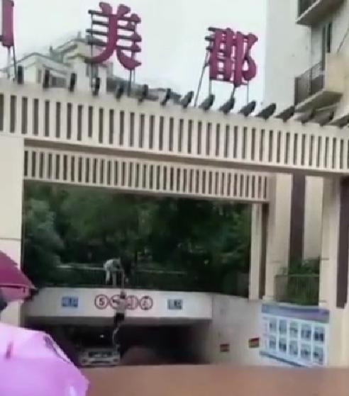 路人用绳子出被困车主：生死关头，迅速采取行动！