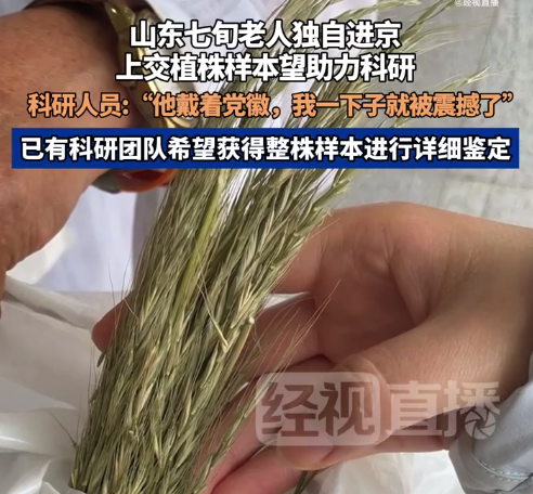 七旬老人携野生植物独自赴京求鉴定 研究院：他别着党徽，拿着手写信，我一下子就被震撼了
