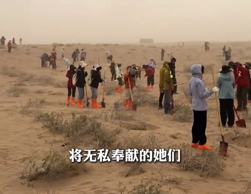 民勤种树女生遭恶意凝视引众怒 