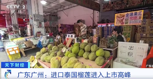 冲就完了！泰国榴莲正在疯狂涌入