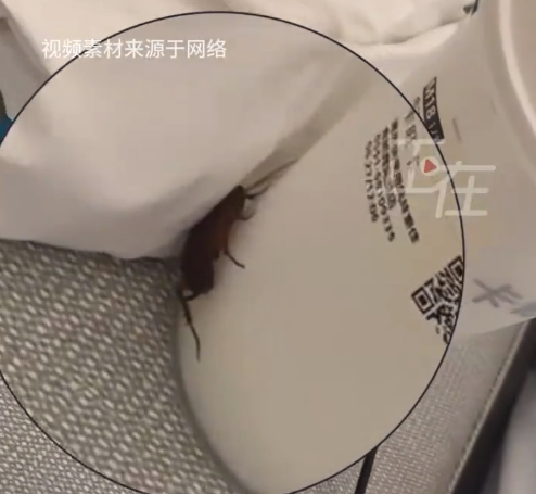 女子住亞朵酒店花灑漏水又遇蟑螂 酒店回應(yīng)：可能是附著行李箱進入,，后續(xù)會加強消殺