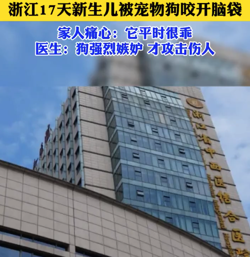 17天婴儿遭自家宠物狗啃咬头部 医生解读宠物狗为何攻击新生儿