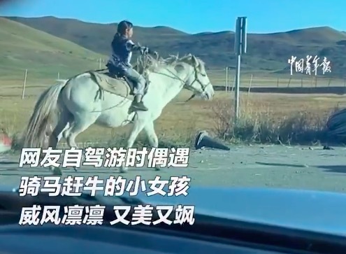 网友川西偶遇骑马赶牛小女孩 威风凛凛又美又飒
