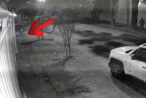 巴西8人殴打卡皮巴拉被捕