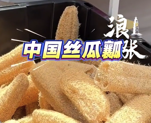 实用又环保!中国丝瓜瓤现身旧金山街头,5美元1个