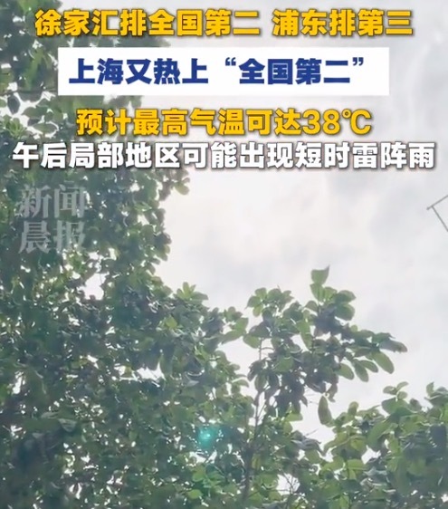 上海又热上全国第二!上海的夏天连风都在“发烫”