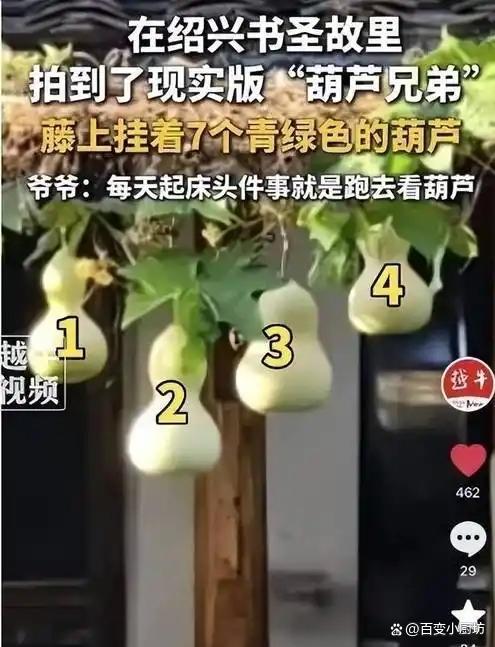 媒体评：七个葫芦被剪掉，人潮能散去吗？