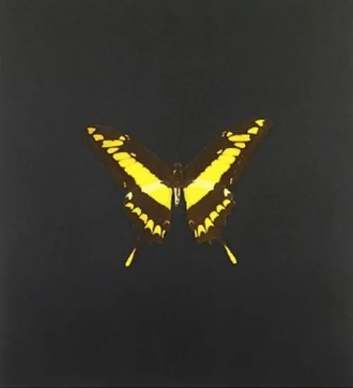 The Souls on Jacob's Ladder Take Their Flight (Small Yellow), 2007,Damien Hirst