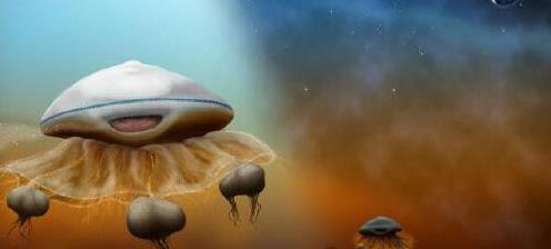 哈佛天文系主任：100多亿年前，宇宙中曾经到处是生命？